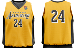 Adult Basketball Jersey (TOP ONLY)