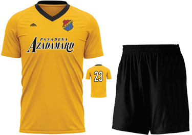 Adult Soccer Jersey Set (Jersey Top/Shorts/Socks)